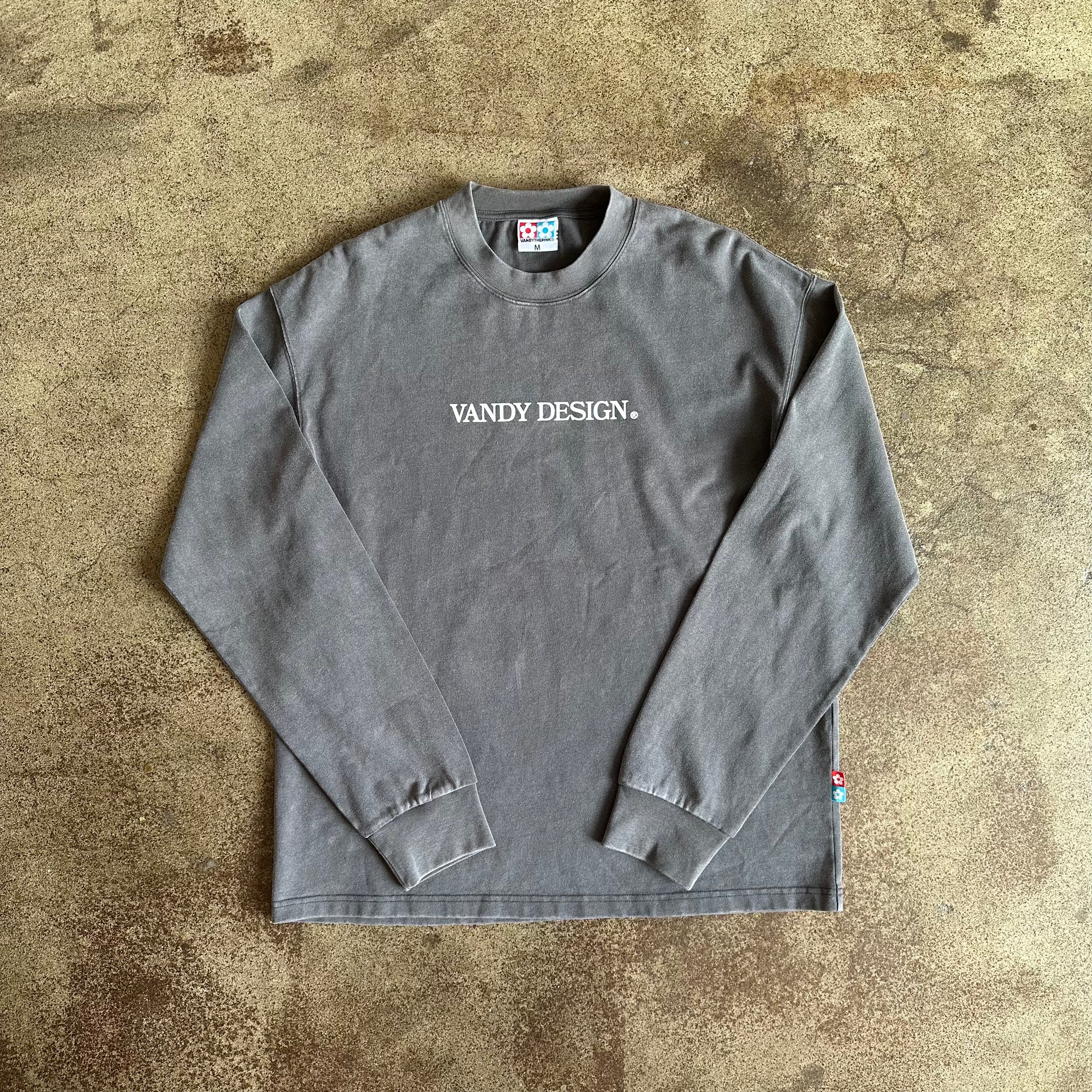 VANDY THE PINK Washed Graphic Long Sleeve Tee